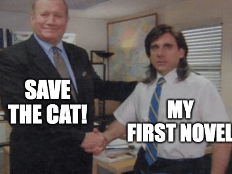 Save the Cat! Writes a Novel review photo